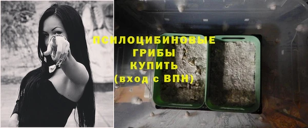 героин Алексин