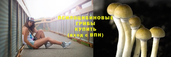 мескалин Алексеевка