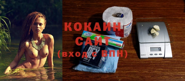 твердый Алзамай